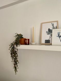 a white shelf with some plants and pictures on it's ledge next to candles