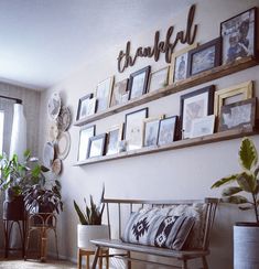 a living room filled with lots of pictures on the wall next to a bench and potted plants