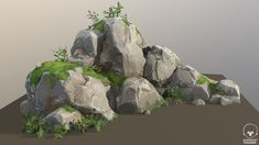 some rocks and plants are in the middle of an area with grass on it, while another rock is behind them