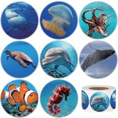 several pictures of different animals and sea creatures