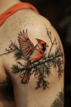 a red bird sitting on top of a pine tree branch with berries and leaves around it