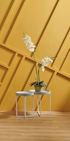 two white flowers in a vase on a small table against a yellow wall with geometric pattern