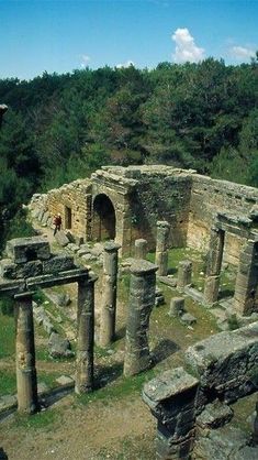 the ruins are surrounded by trees and grass