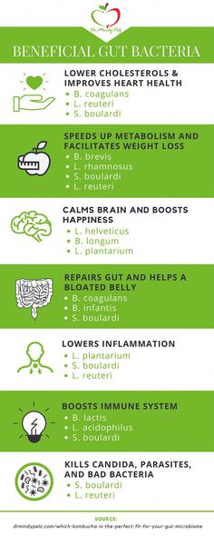 Years ago, I had a running partner who was obsessed with kombucha. She swore by it and said it was the only thing that helped ensure that she had daily bowel movements. I can still remember trying it for the first time and thinking, “This is disgusting!” I wondered how my friend could stomach such Dr Mindy Pelz, Nutrition Month, Speed Up Metabolism, Improve Heart Health, Gut Bacteria, Low Carb Diet Recipes, Gut Healing, Gut Microbiome, Health Nutrition