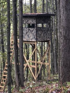 a tree house in the woods with stairs leading up to it