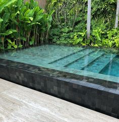 an outdoor swimming pool surrounded by greenery