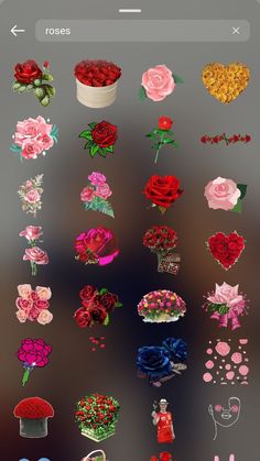 the flowers are arranged in different shapes and sizes, including roses on top of each other