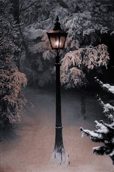 a lamp post in the middle of a snow covered park with trees and bushes behind it