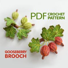 two leaves and some berries on a white background with the words gooseberry brooch