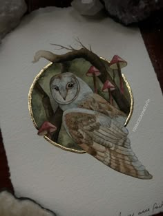 an owl sitting on top of a piece of paper next to some rocks and mushrooms