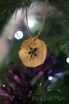 an apple star ornament hanging from a christmas tree with the words, natural decorations