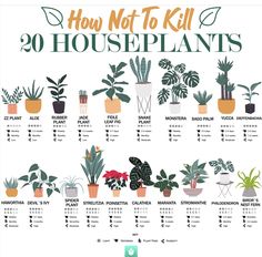 a poster showing how to kill twenty houseplants