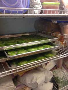 several trays filled with food sitting on top of shelves