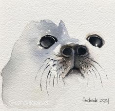 a watercolor painting of a seal face