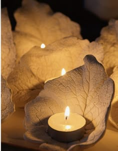 some white candles are lit in front of cabbage leaves