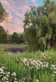 a field with flowers and trees in the background