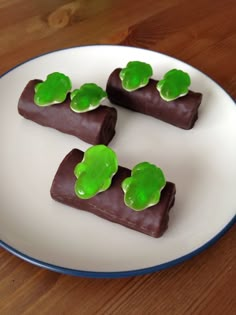 three pieces of chocolate on a plate with green leafy toppings in the middle