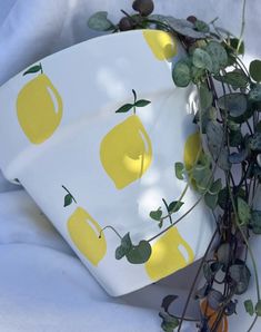 two plates with yellow apples on them are sitting next to some green plants and leaves