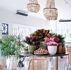 a dining room filled with lots of different types of flowers and plants on top of a table