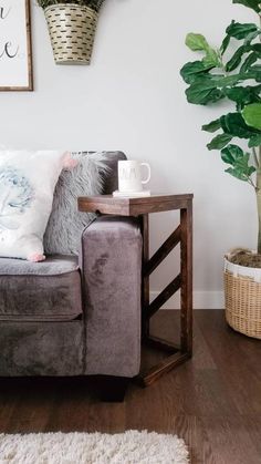 a living room with a couch, coffee table and potted plant