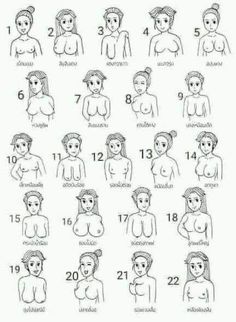 the stages of breasting for women in different ages and sizes, with numbers on each side