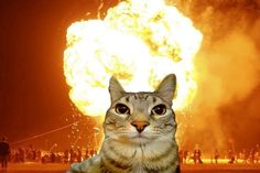 a cat that is sitting in front of a large fireball with it's eyes wide open