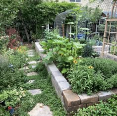 the garden is full of green plants and flowers