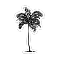 a black and white drawing of a palm tree