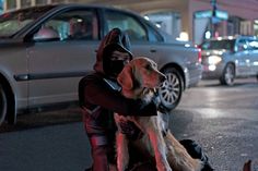 a person sitting on the ground with a dog in their lap and cars behind them