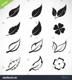 leaves and flowers icon set on white background