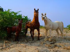 three toy horses standing in the sand near some bushes and trees on a sunny day