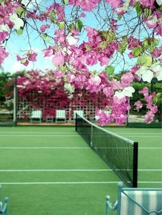 the tennis court is covered with pink flowers