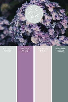 the color scheme is purple and grey, with lila flowers in it's center