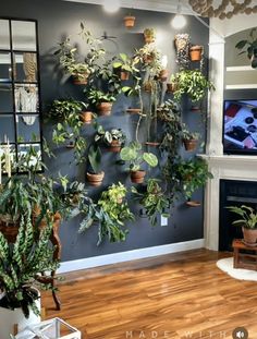 a living room filled with potted plants and a flat screen tv mounted on the wall