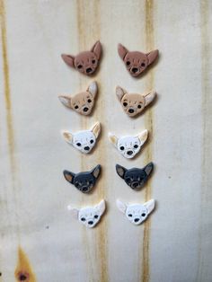 six small dogs are shown in the shape of buttons on a piece of paper with brown and white stripes