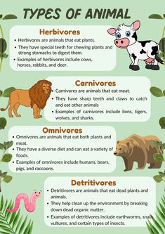 the different types of animals that can be found in an animal kingdom info sheet for kids