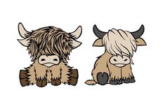 two shaggy haired cows sitting next to each other