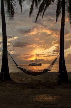 a hammock hanging between two palm trees on the beach with a boat in the background