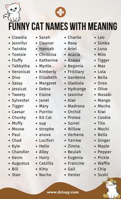 Funny Cat Names Funny Name Generator, Boy Cat Names, Cat Friendly Plants, Turtle Names, Funny Cat Names, Hamster Names, Cute Cat Names, Rabbit Names