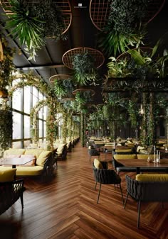 an indoor restaurant with wooden floors and plants hanging from the ceiling, along with wicker furniture