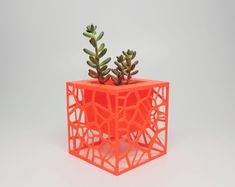 an orange planter with two succulents in it on a white surface