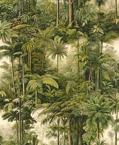 an image of a jungle scene with palm trees