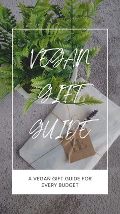 the vegan gift guide for every budget is on display in front of a potted plant