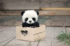 a stuffed panda bear sitting in a wooden box