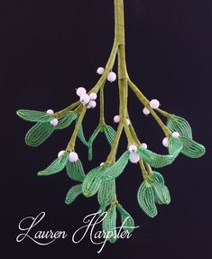 a green plant with white flowers hanging from it's stems on a black background