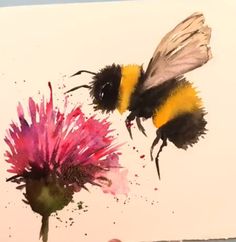 two bums on top of a pink flower with watercolor paint splatters