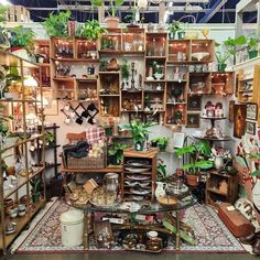 a room filled with lots of different types of furniture and plants on shelves next to each other