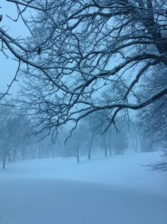 a snow covered field with trees and benches in the foreground, during a winter storm