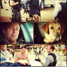 the collage shows several different pictures of men with dogs and police officers in uniform