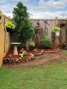 a backyard with a wooden fence and green plants in the center, surrounded by brown mulch